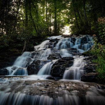 Vogel State Park